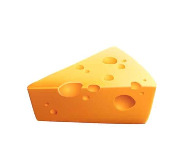 Mr.Cheese