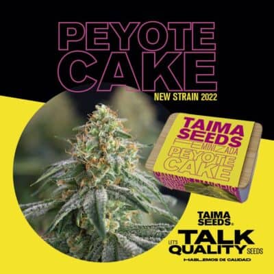 peyote cake