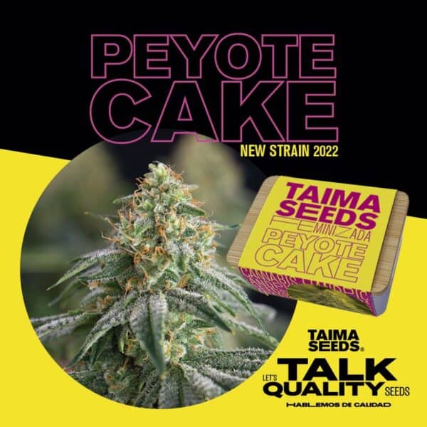 peyote cake